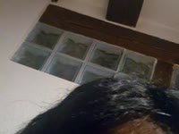 Je suis une femme sensuelle, naturelle et pleine de charme. J’aime prendre le temps de créer une vraie connexion, d’écouter, de séduire et de faire rêver. Avec moi, chaque moment est unique : douceur, rires et plaisir partagé. Laisse-toi emporter par mon énergie positive... tu n’auras qu’une envie : revenir encore et encore.