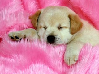 TestThingy