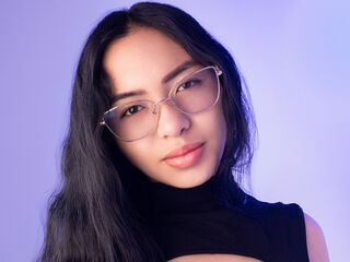 free live chat VanneSoft