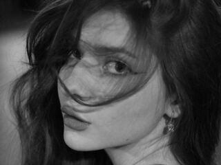sex webcam chat VelvetMeow